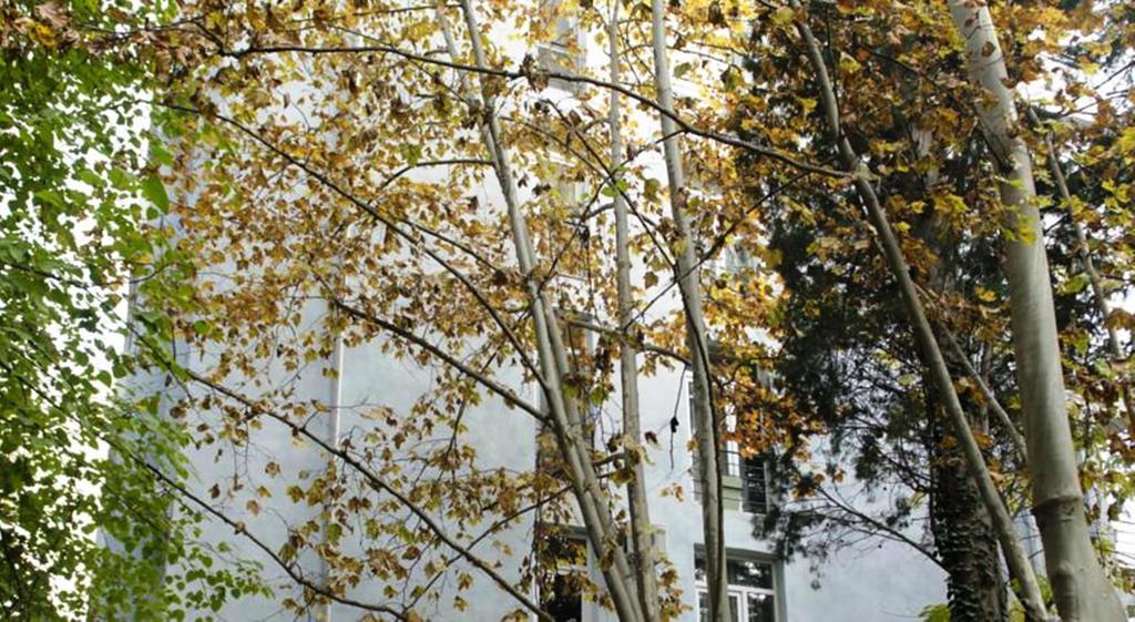 Tiflislux Apartment Bagian luar foto